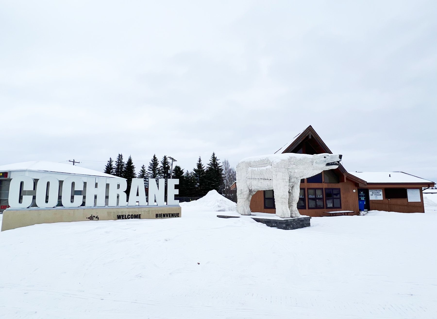 Cochrane welcome sign and polar bear landmark in winter
